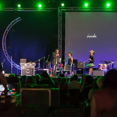 Concerto dal vivo con musicisti e pubblico, palco allestito con luci verdi e proiezione