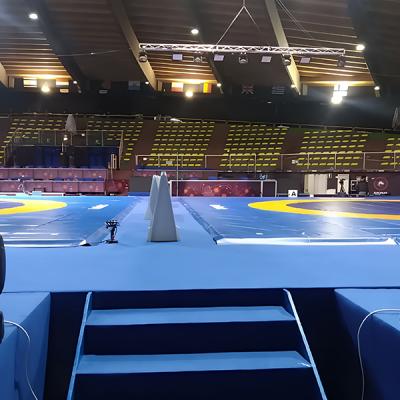 Pedana sportiva blu con tappeti da lotta e tribune vuote in un palazzetto dello sport