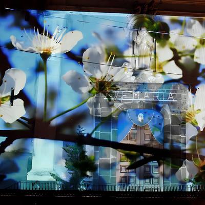 Videomapping floreale su facciata di edificio religioso